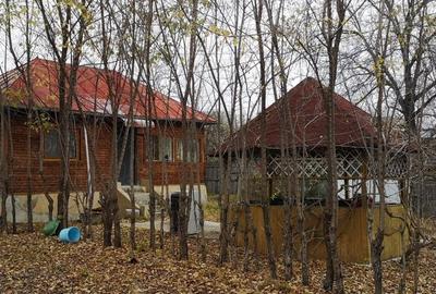 Casă cu 2 camere cu Teren 1000 Mp în Salcia - 3