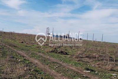 Teren agricol intravilan de 440 mp, în Est - 5