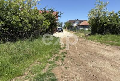Teren Construcții intravilan de 3015 mp, în Moșoaia - 2