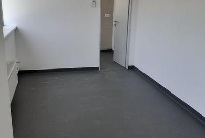 Spațiu industrial, de 600 mp, în Theodor Pallady - 6