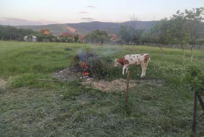 Casă cu 2 camere în Galșa - 7