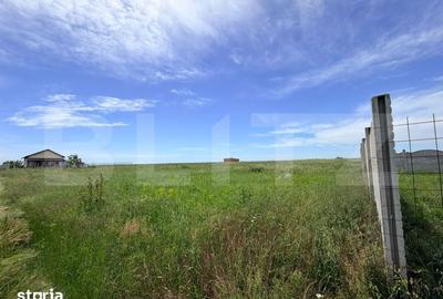 Teren de 1500 mp, în Brazda lui Novac - 3