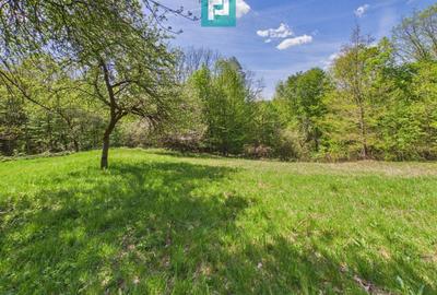 Casă individuală cu 2 camere cu Canalizare în Măgulicea - 35