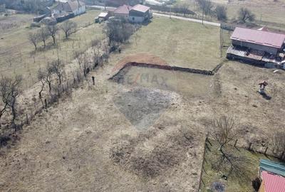 Teren Construcții intravilan de 3591 mp, în Aghireșu-Fabrici - 4