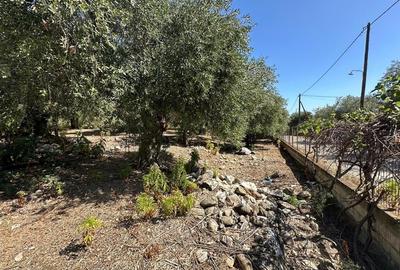 Teren intravilan pe insula Thassos, aproape de plaja salbatica - 7