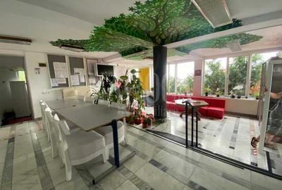 Casa 10 camere de vanzare in Grigorescu, Cluj Napoca - 7