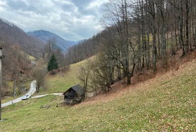 Teren de 12800 mp, în Remeți - 7