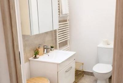 Apartament cu 2 camere decomandat, mobilat în Lujerului - 6