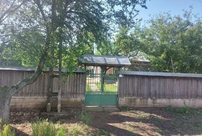 Casă cu 4 camere în Movila - 2