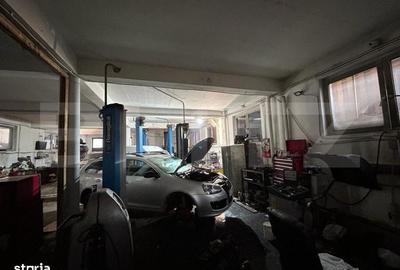 Spațiu comercial, de 250 mp, în Paltin - 12