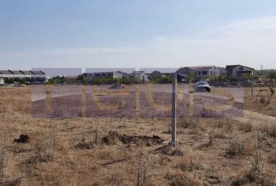 TEREN DE VANZARE| MATEI MILLO | 481 MP | FRONT 19 MP | OPORTUNITATE | - 4