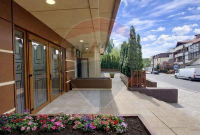 Spațiu comercial, de 417.05999755859 mp, în Alecu Russo - 2