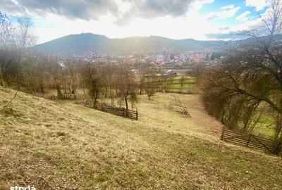 Spațiu comercial, în Valea Doftanei - 11