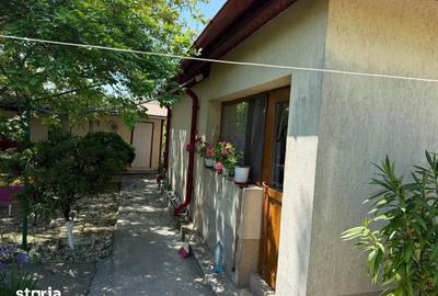 Casă cu 3 camere cu Teren 4000 Mp în Letca Nouă - 8