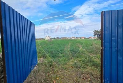 Casă individuală cu 3 camere cu Teren 7290 Mp în Socodor - 16