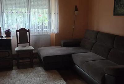 Casa familiala in Balc, Bihor - 2