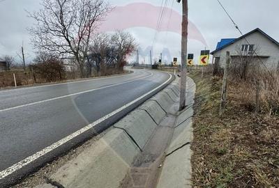 Teren intravilan 2,146 mp Carligele / Strada Vinului - 2