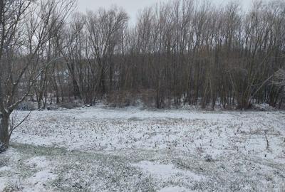 Spațiu comercial, în Făurei - 5