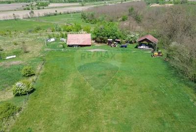 Teren de 659000 mp, în Copșa Mică - 3