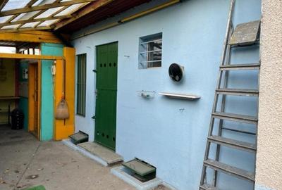 Teren + Casa batraneasca - zona Calea Calarasilor - 7