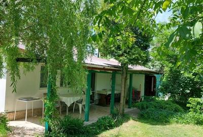 Casă cu 3 camere cu Teren 1857 Mp în Bucșani - 3