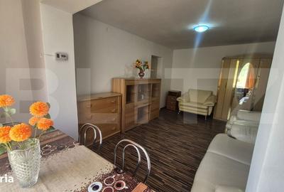 Apartament cu 2 camere semidecomandat în Botizului - 12