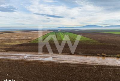 Spațiu comercial, în Hărmanului - 3