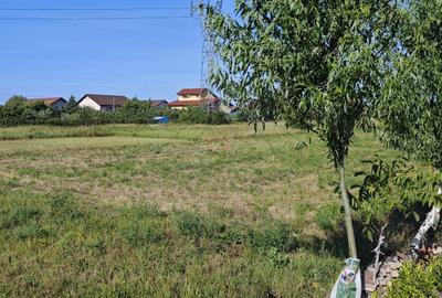 Teren agricol intravilan de 5000 mp, în Moșnița Nouă - 2