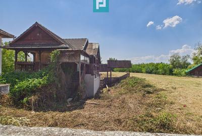 Pensiune în Geoagiu pe malul râului Mureș - 9