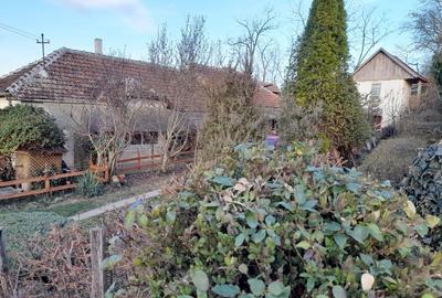 Casă individuală cu 4 camere cu Teren 7.4000000953674 Mp în Pir - 2