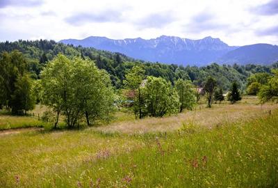Teren intravilan - 1.050 mp în Bran cu utilitati - priveliște Bucegi - 3
