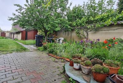 Oportunitate! Casa Bod pe un singur nivel, teren 980 mp pivnita, garaj ,mobilata - 3