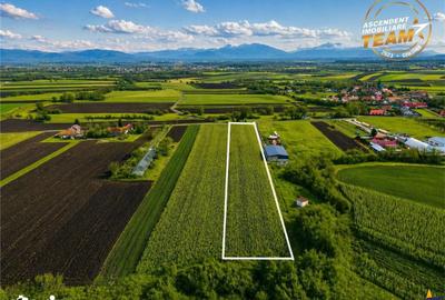 Teren de 5800 mp, în Ilieni - 1