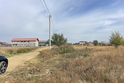 Domne?ti, Teghes, teren de 1000mp langa padure, utilitati. - 7