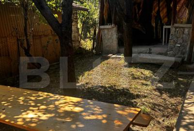 Casa veche cu teren in zona ultracentrala in suprafa?a Casa veche cu teren in zona ultracentrala in suprafa?a - 3