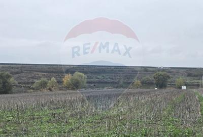 Teren extravilan de 129700 mp, în Iepurești - 6