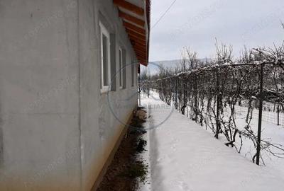 Casa Individuala Arcalia 15km de Bistrita - 2