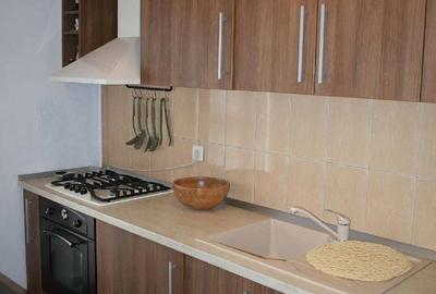 Garsonieră semidecomandată în Liviu Rebreanu - 2