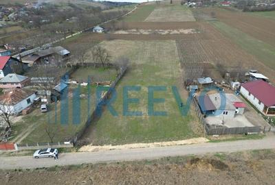 Teren de vanzare, Sat Bazga, Com. Horge?ti, Bacau - 11