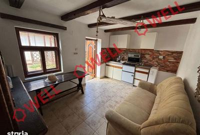 Casă cu Teren 1660 Mp în Boroșneu Mare - 19