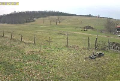 Casă cu 3 camere în Ardud - 1