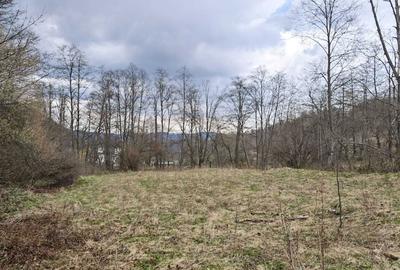 Teren de 6855 mp, în Exterior Vest - 5