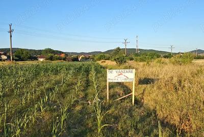 Teren de 6000 mp, în Budești - 2