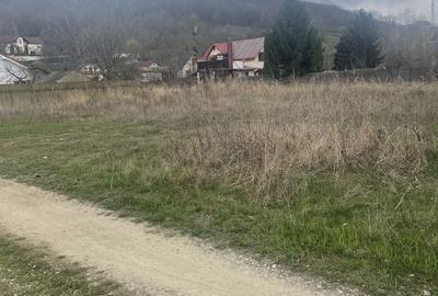 Teren de 700 mp, în Hemeiuș - 2
