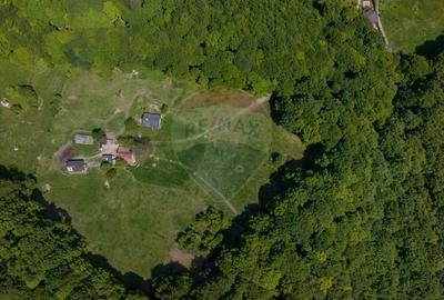 Teren de vanzare - Colonia 1 Mai, 5.310 mp, ideal pentru investitie - 7