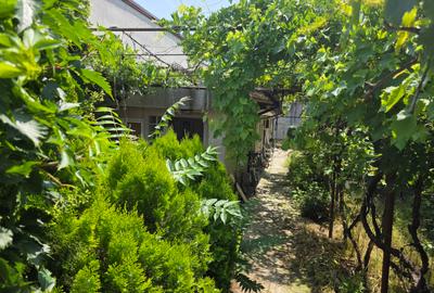 Eroii Revolutiei, spital Marius Nasta , chiar pe Ion Baiulescu, - 4