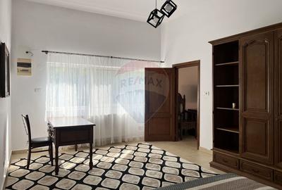Casa atipica, spatioasa si versatila in comuna Pasarea (Branesti) - 43
