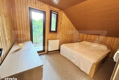 Casă cu 6 camere cu Teren 3000 Mp în Sălciua - 14