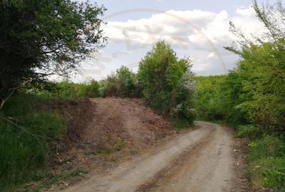 Teren 2000 mp intravilan Smeura-Mosoaia. Comision 0% - 4