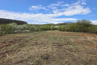 Teren de 6704 mp, în Bârsău - 27